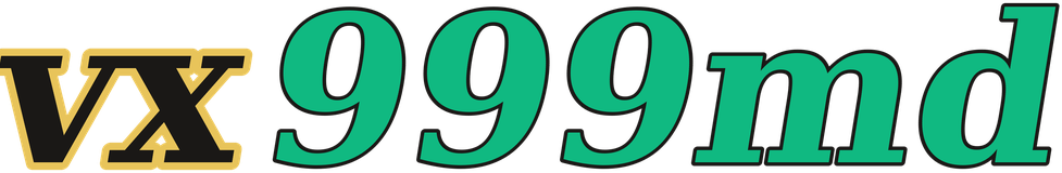 vx999md logo